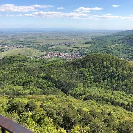 Loewenstein Lejlighed Albersweiler